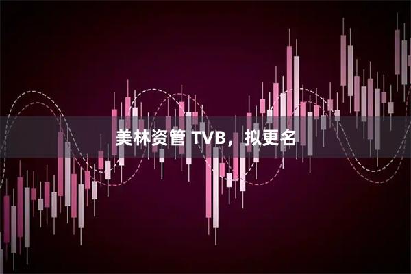 美林资管 TVB，拟更名