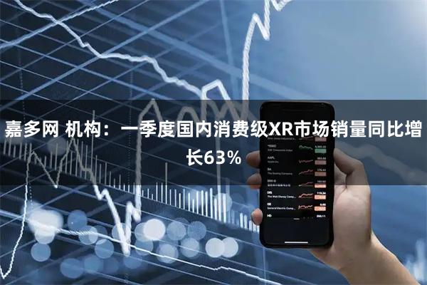 嘉多网 机构：一季度国内消费级XR市场销量同比增长63%