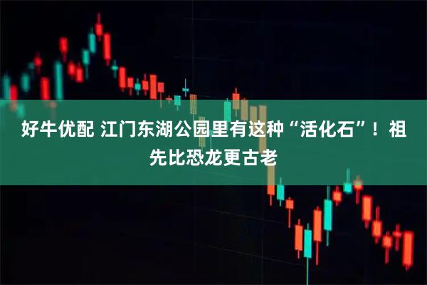 好牛优配 江门东湖公园里有这种“活化石”！祖先比恐龙更古老